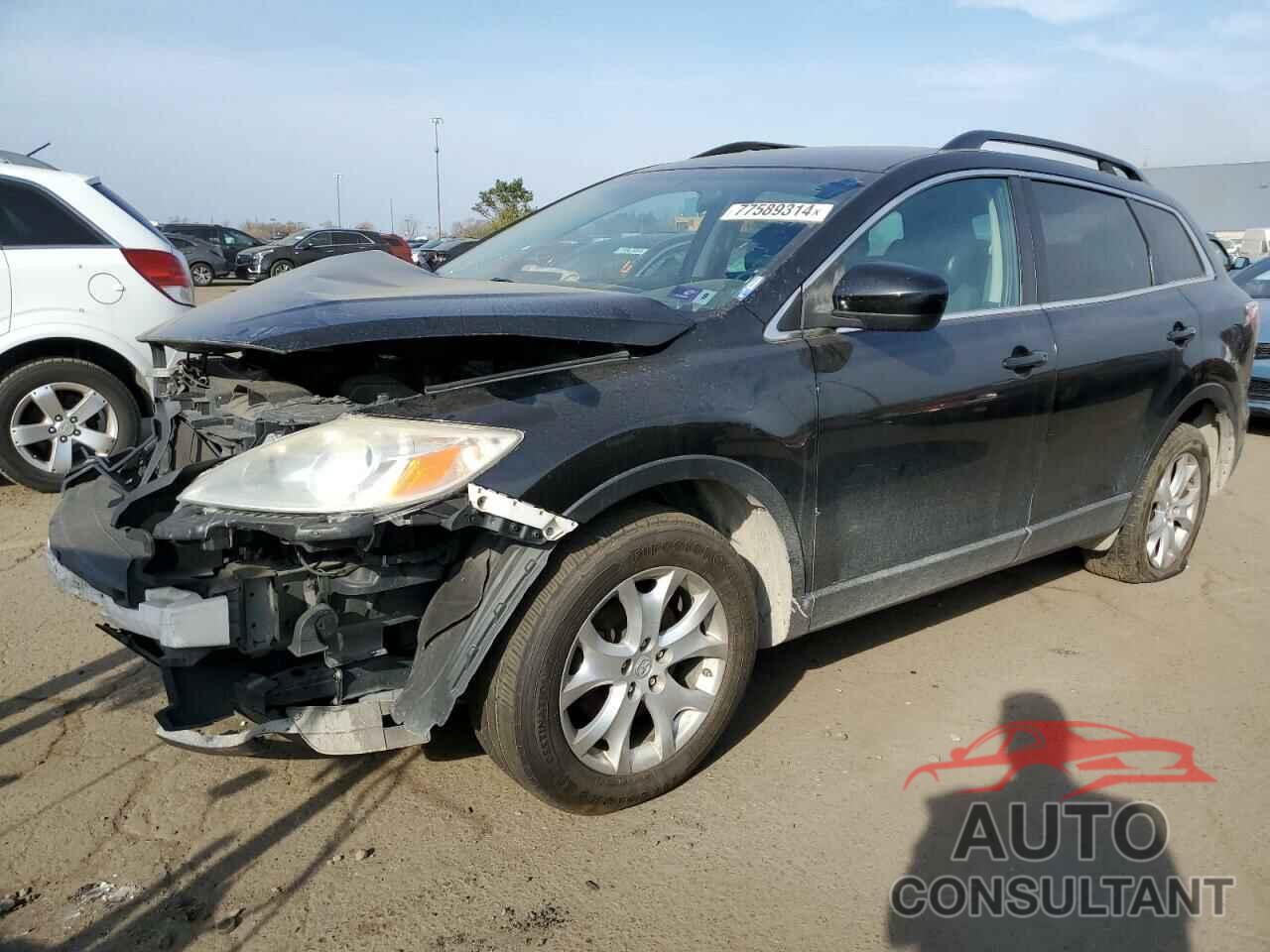 MAZDA CX-9 2011 - JM3TB2BA6B0307238