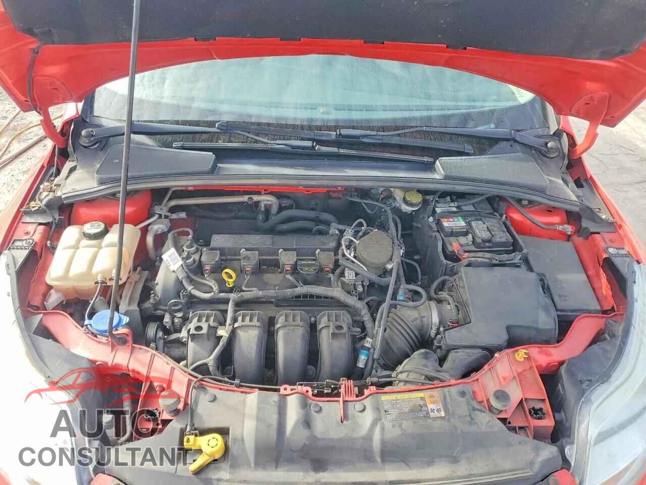 FORD FOCUS 2013 - 1FADP3F24DL131417