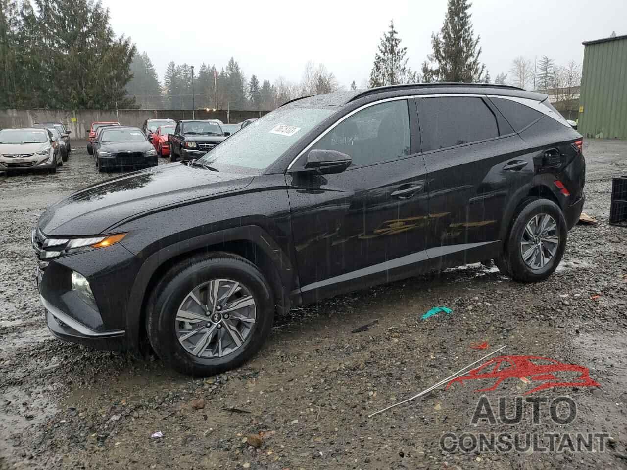 HYUNDAI TUCSON 2022 - KM8JBCA10NU082332