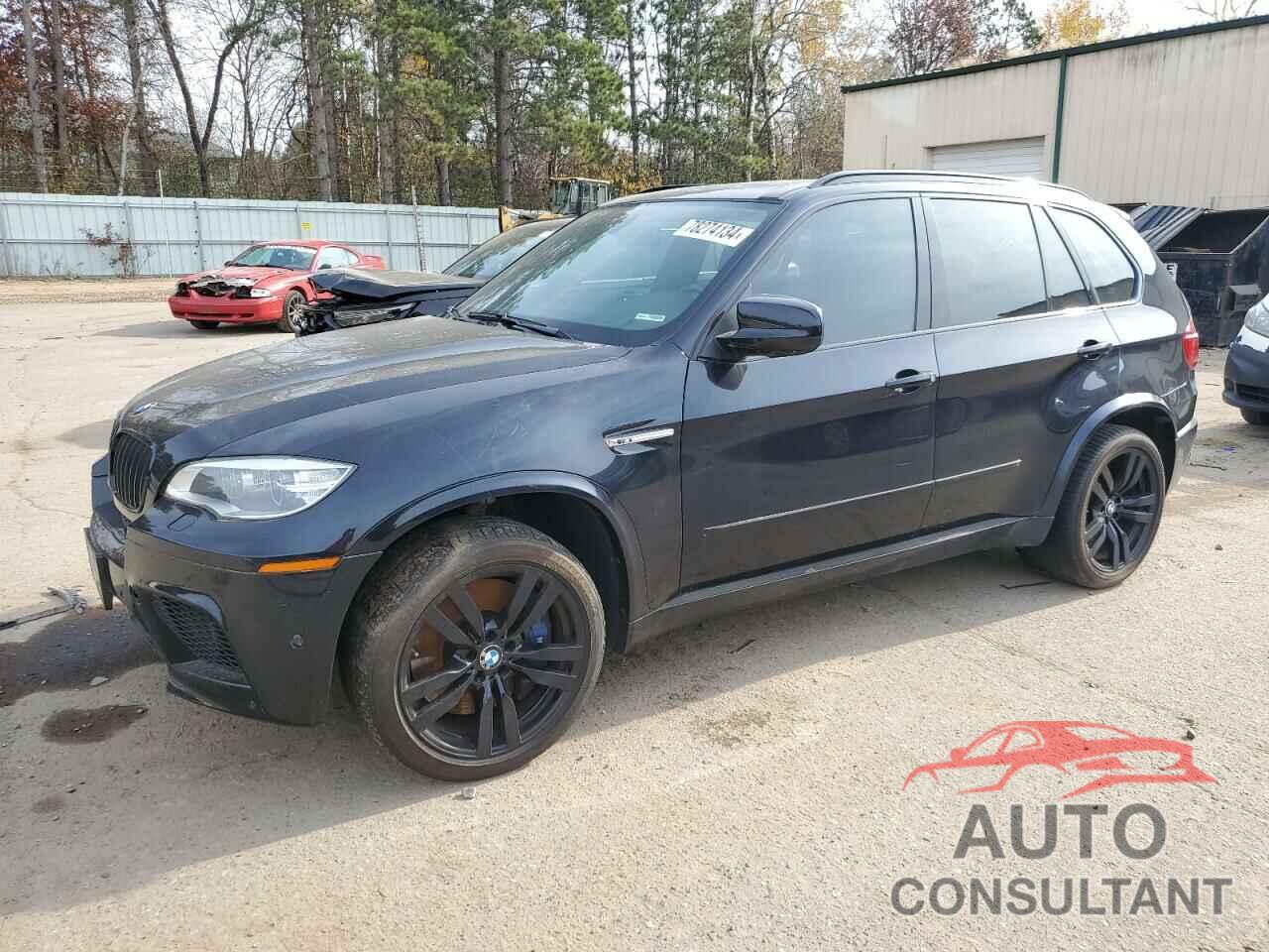 BMW X5 2013 - 5YMGY0C52DLL15845