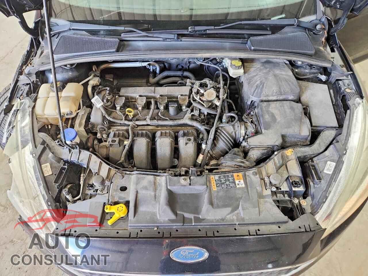 FORD FOCUS 2017 - 1FADP3K29HL246462