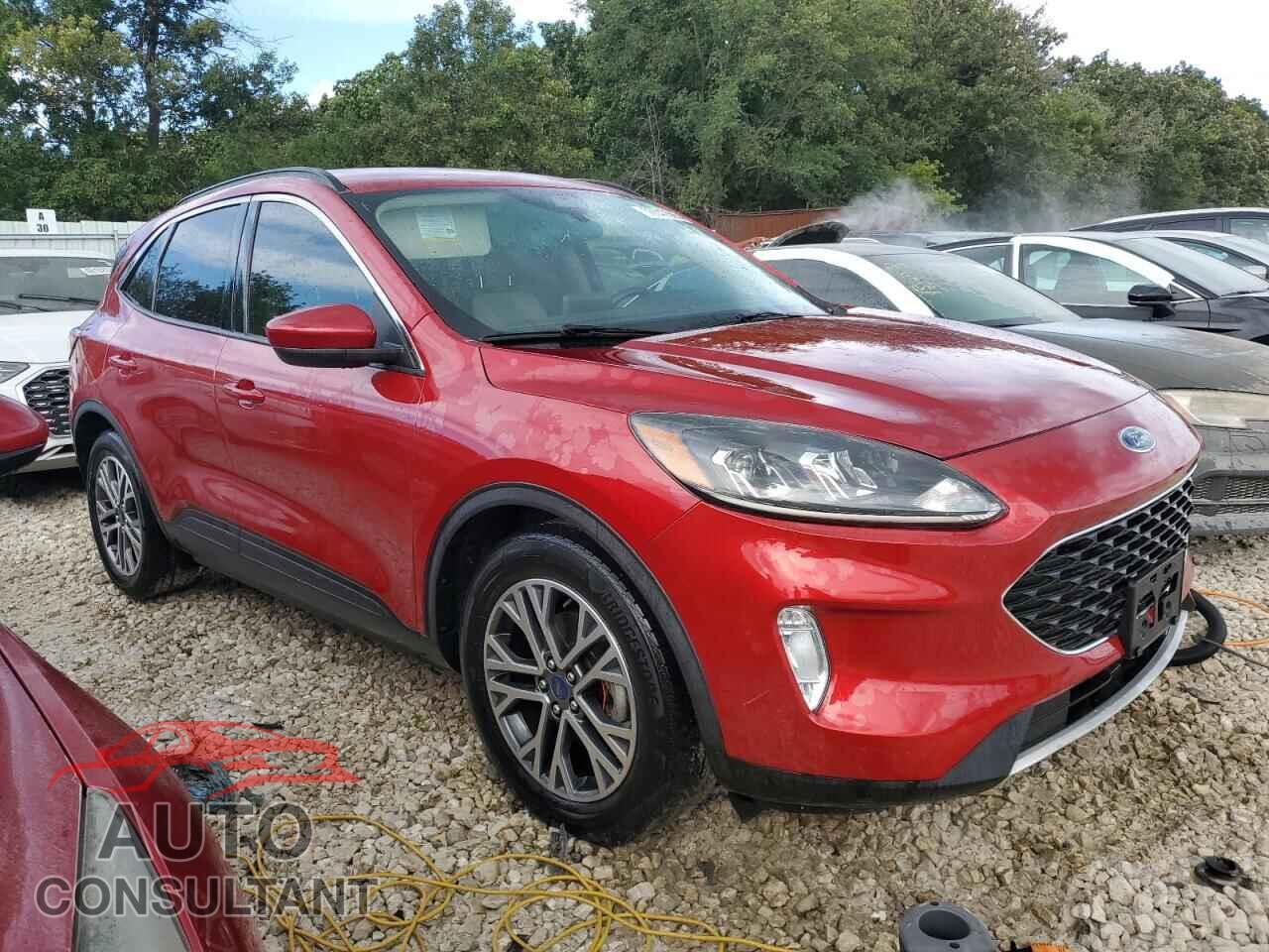 FORD ESCAPE 2020 - 1FMCU0H66LUA40456