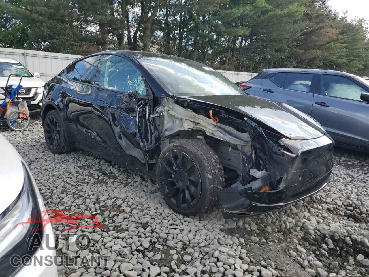 TESLA MODEL Y 2023 - 7SAYGDEE0PF850025