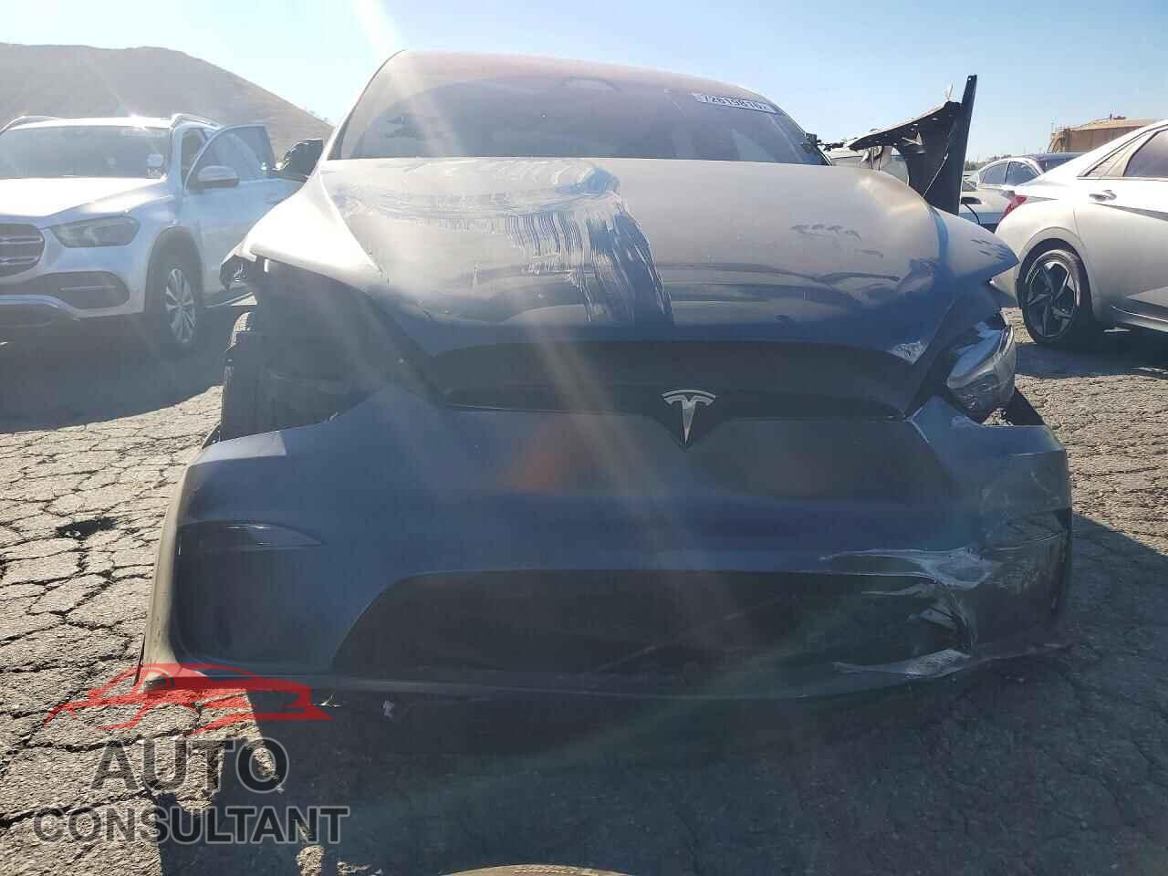 TESLA MODEL X 2024 - 7SAXCDE56RF443496
