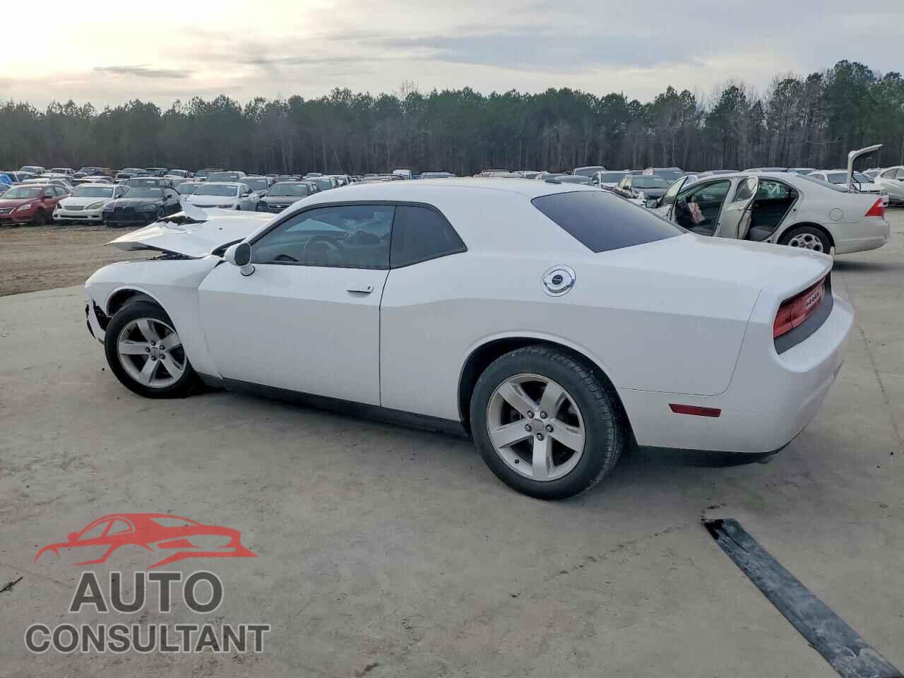 DODGE CHALLENGER 2012 - 2C3CDYAG0CH291969