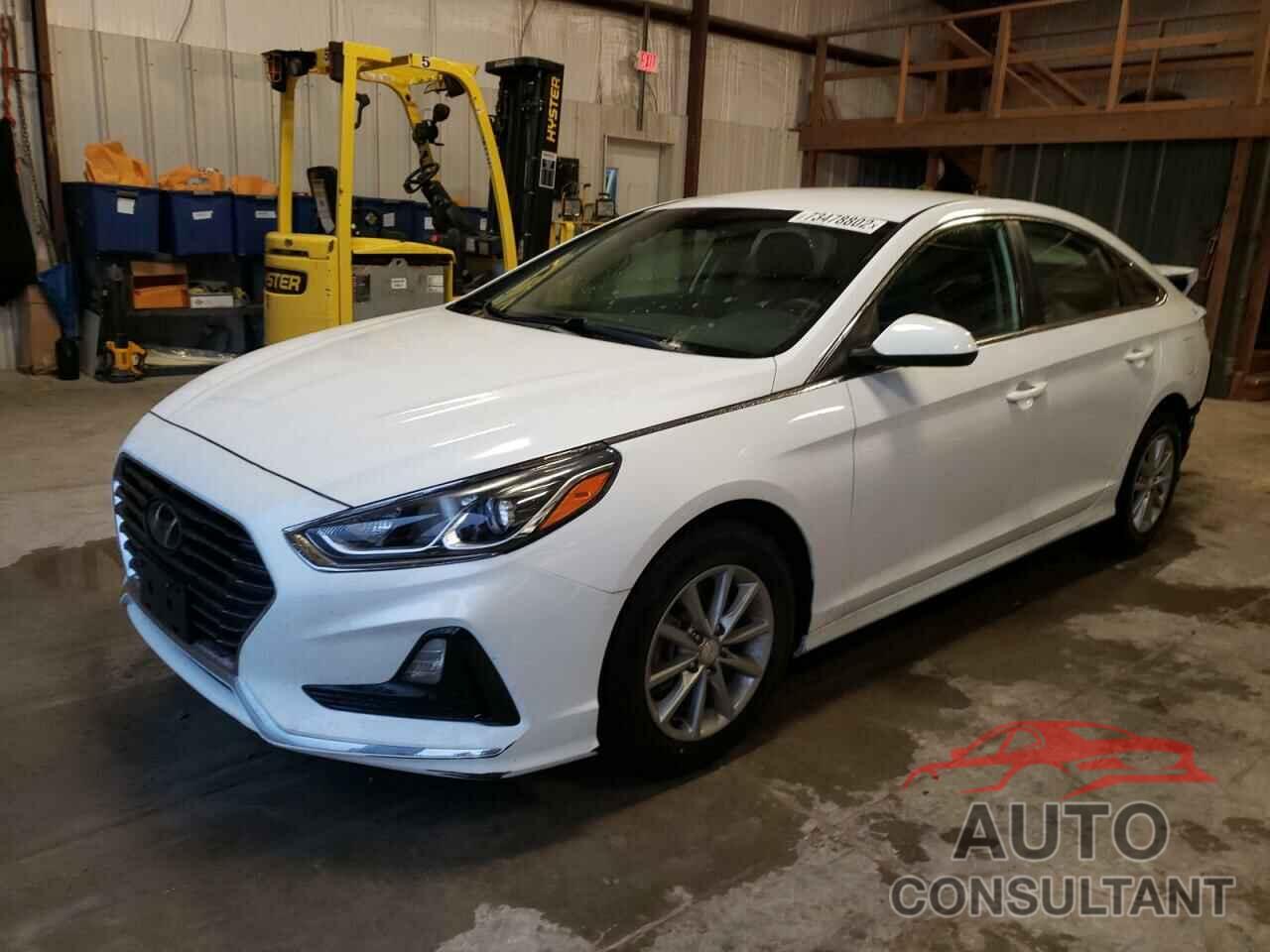 HYUNDAI SONATA 2019 - 5NPE24AF6KH738580