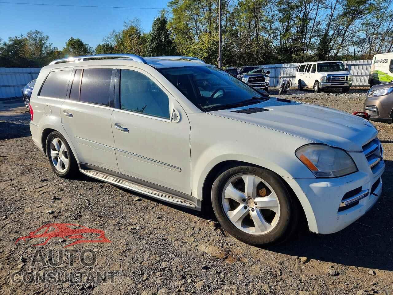 MERCEDES-BENZ GL-CLASS 2010 - 4JGBF7BE3AA608482