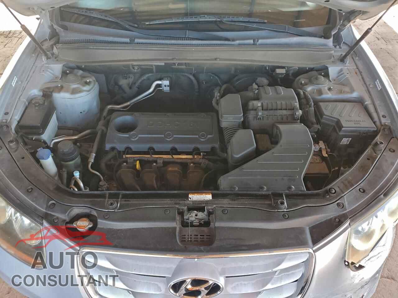 HYUNDAI SANTA FE 2010 - 5NMSGDAB6AH413103