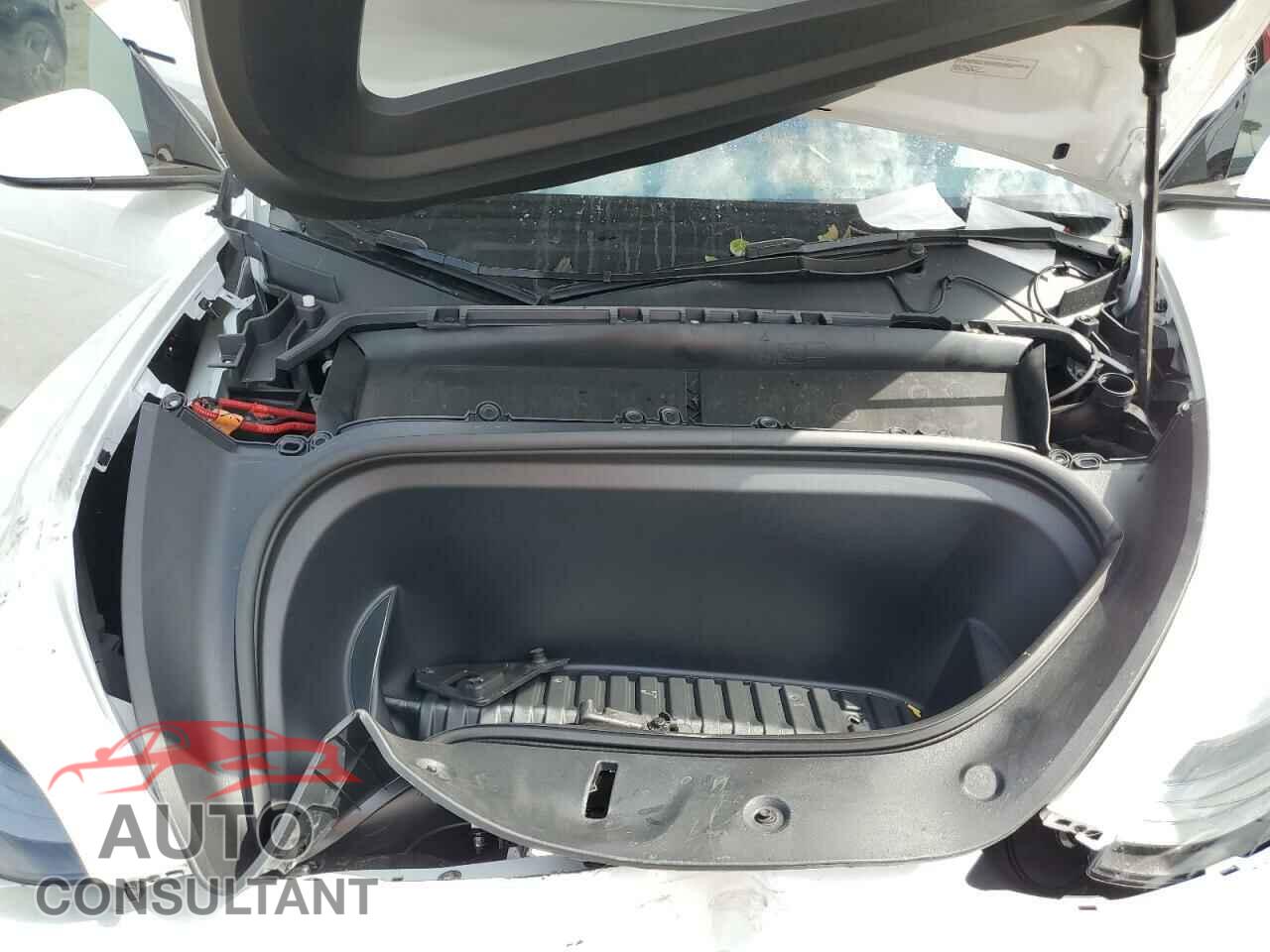 TESLA MODEL Y 2024 - 7SAYGDEE5RF131663