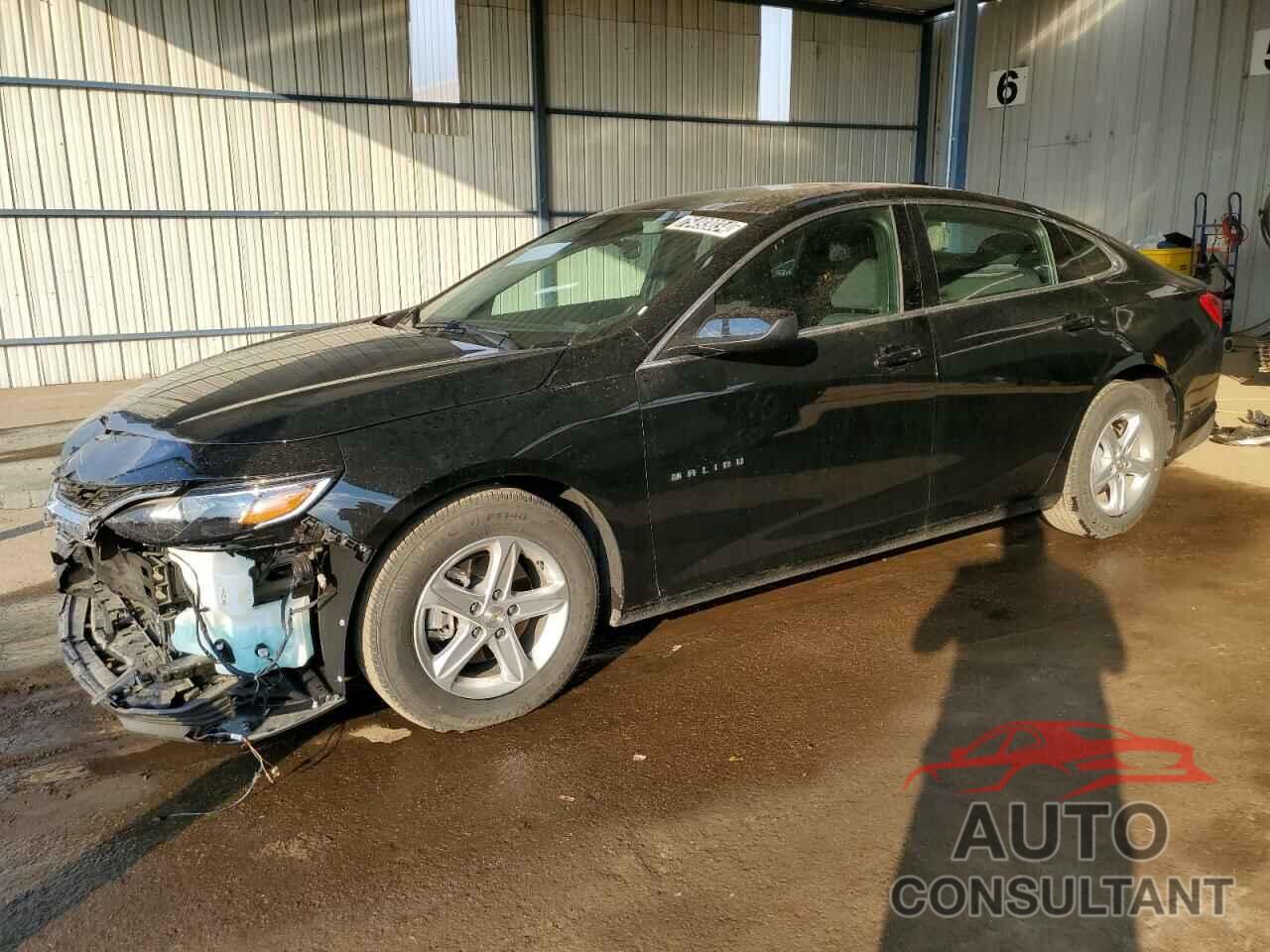 CHEVROLET MALIBU 2024 - 1G1ZD5STXRF219888
