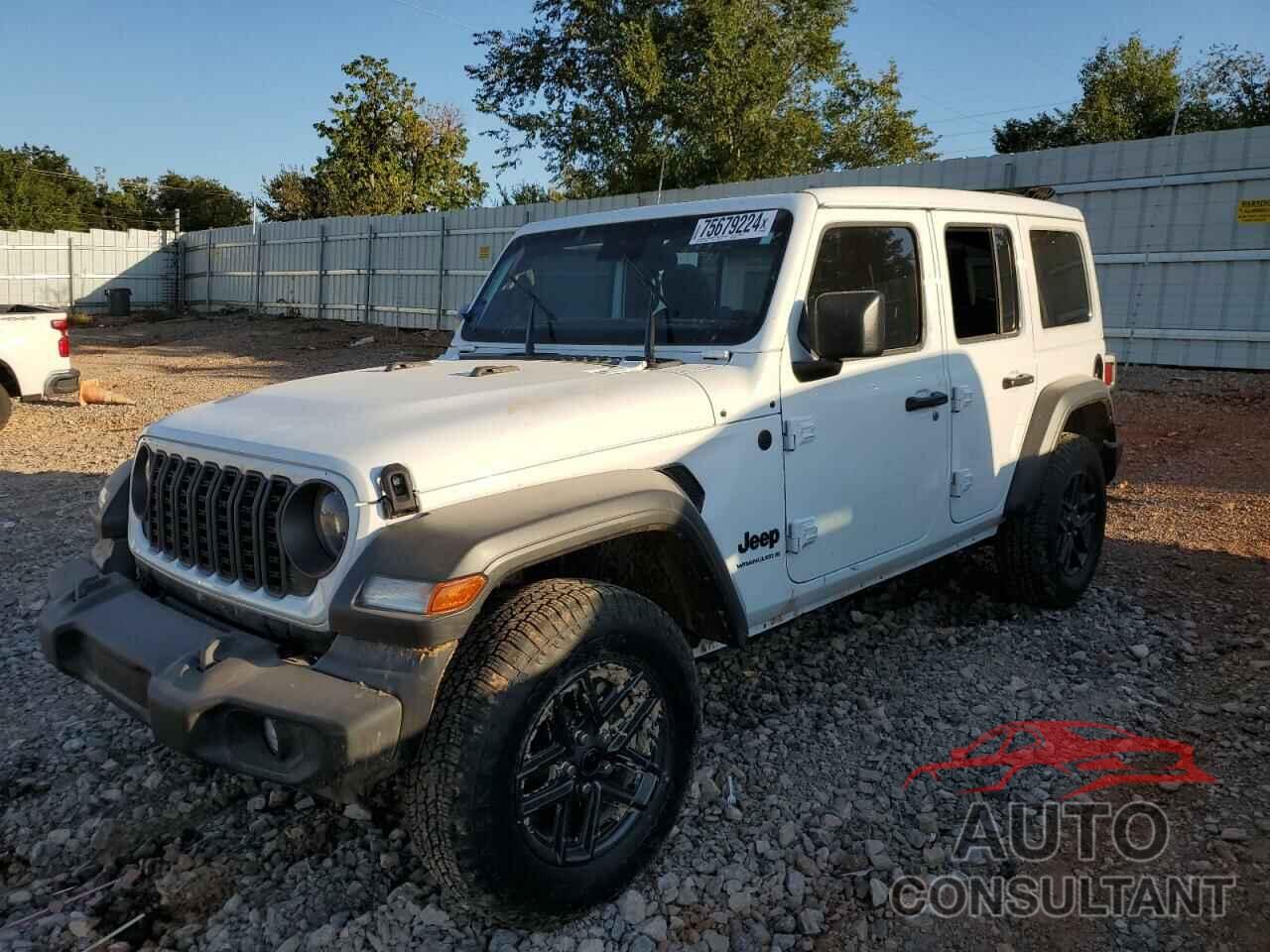 JEEP WRANGLER 2024 - 1C4PJXDG8RW244260