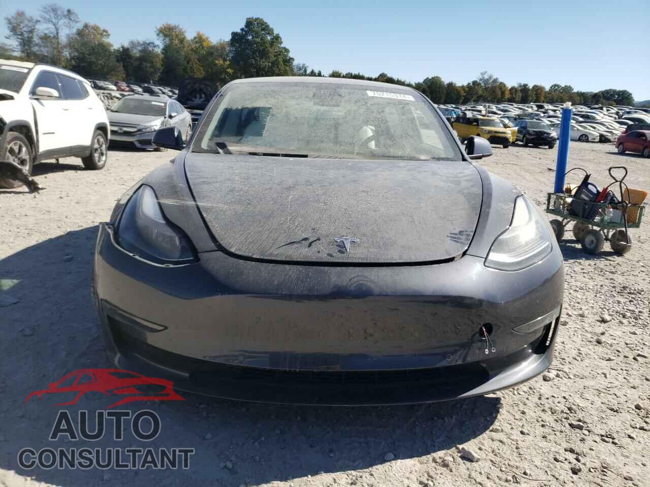 TESLA MODEL 3 2021 - 5YJ3E1EB9MF903060