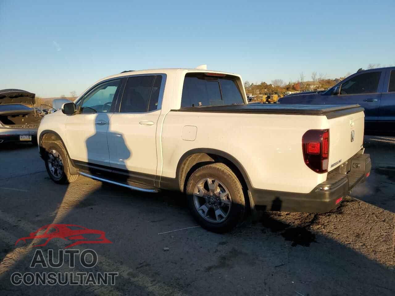 HONDA RIDGELINE 2019 - 5FPYK3F56KB044243