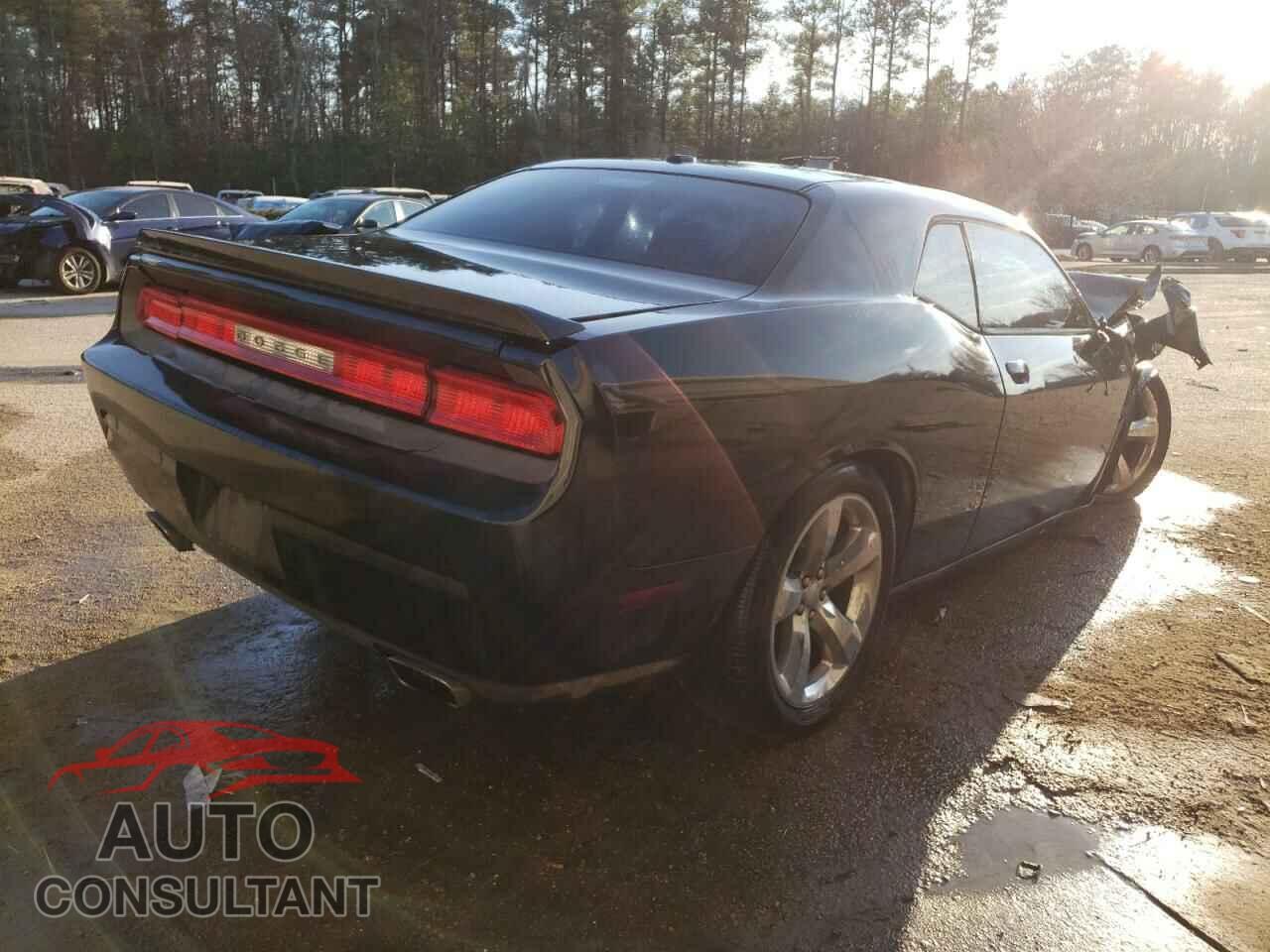 DODGE CHALLENGER 2014 - 2C3CDYBT5EH186410