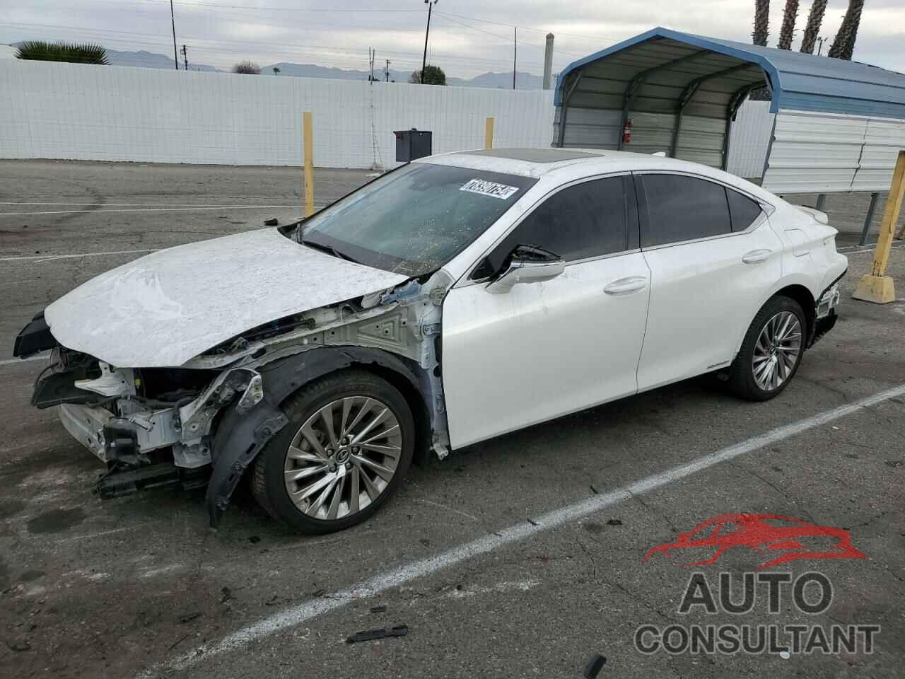 LEXUS ES300 2019 - 58AB21B1XKU001994