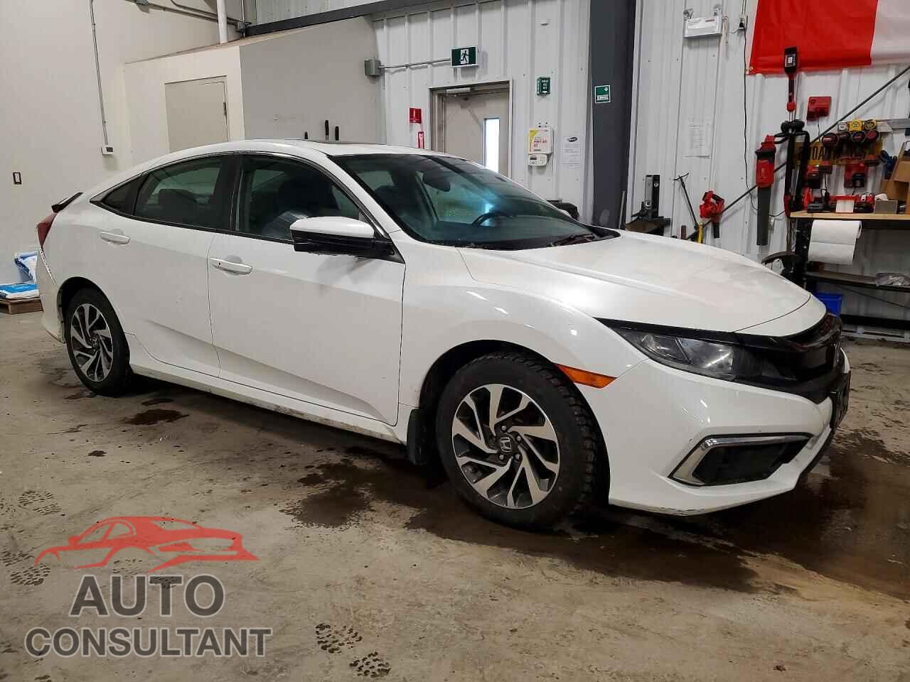 HONDA CIVIC 2020 - 2HGFC2F71LH006960