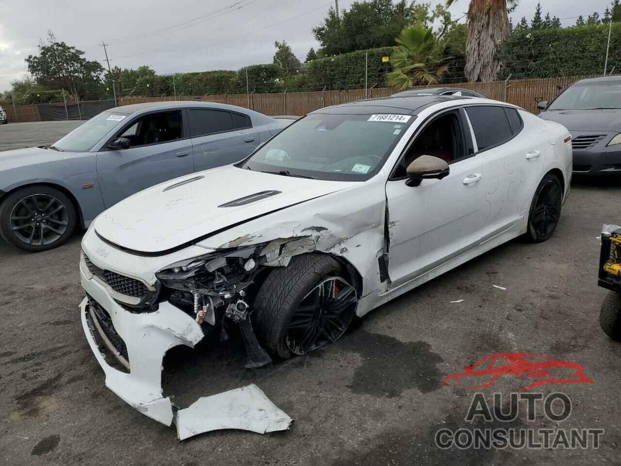 KIA STINGER 2023 - KNAE55LC3P6126092
