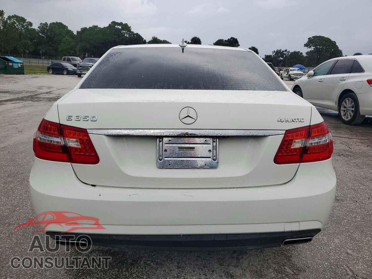 MERCEDES-BENZ E-CLASS 2010 - WDDHF8HB3AA145668