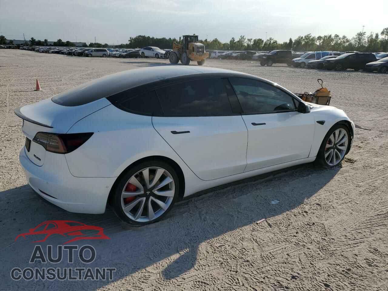 TESLA MODEL 3 2019 - 5YJ3E1EB3KF487228