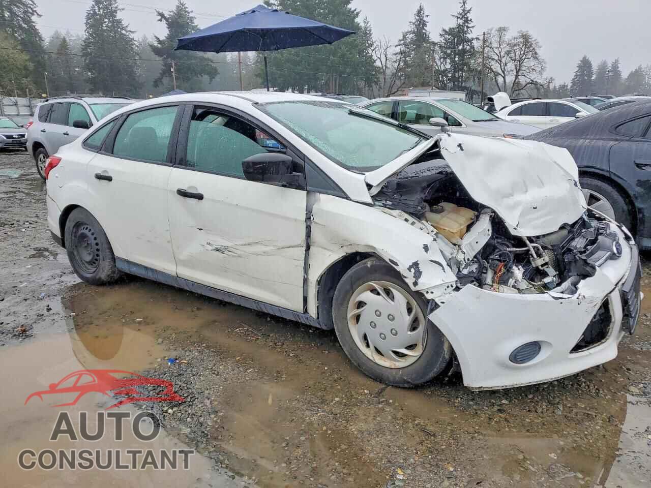 FORD FOCUS 2014 - 1FADP3E20EL443284