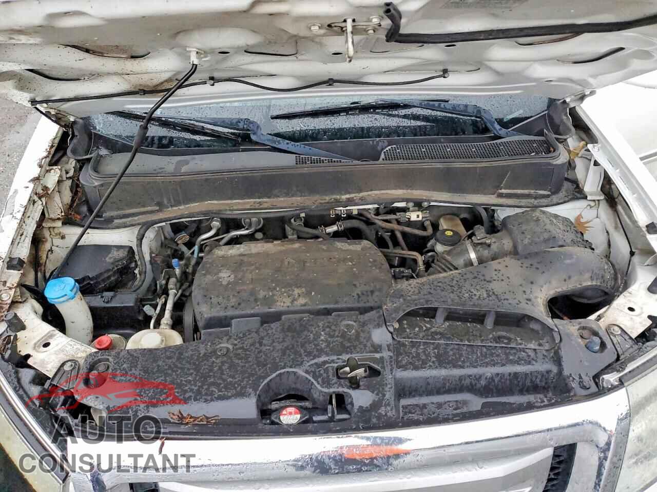 HONDA PILOT 2011 - 5FNYF4H96BB084180