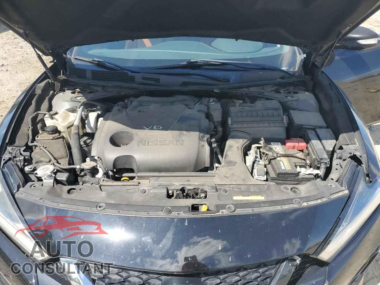 NISSAN MAXIMA 2019 - 1N4AA6AV8KC382428