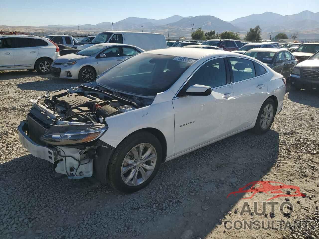 CHEVROLET MALIBU 2022 - 1G1ZD5ST8NF166277