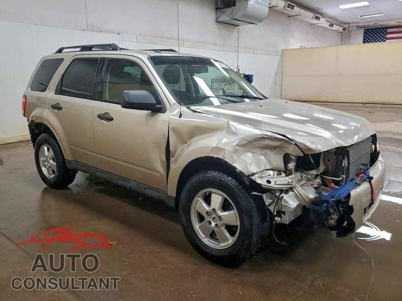 FORD ESCAPE 2010 - 1FMCU9DG2AKB10241