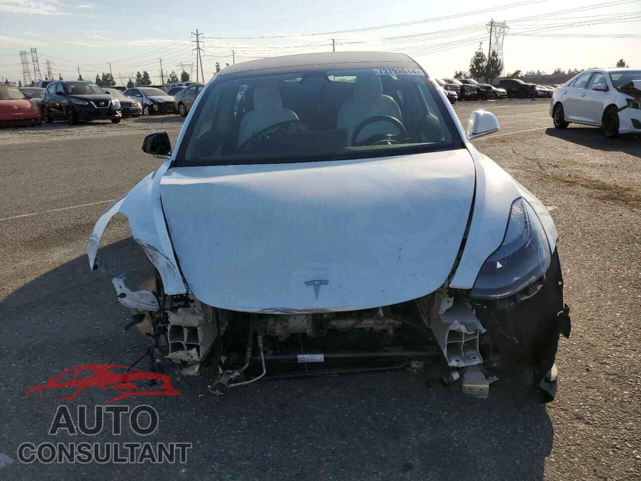 TESLA MODEL 3 2019 - 5YJ3E1EAXKF519874