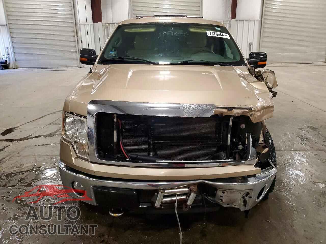 FORD F-150 2013 - 1FTFW1EF8DKD60686
