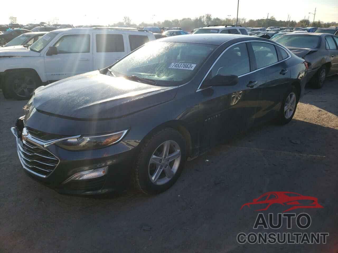 CHEVROLET MALIBU 2019 - 1G1ZB5ST0KF158806