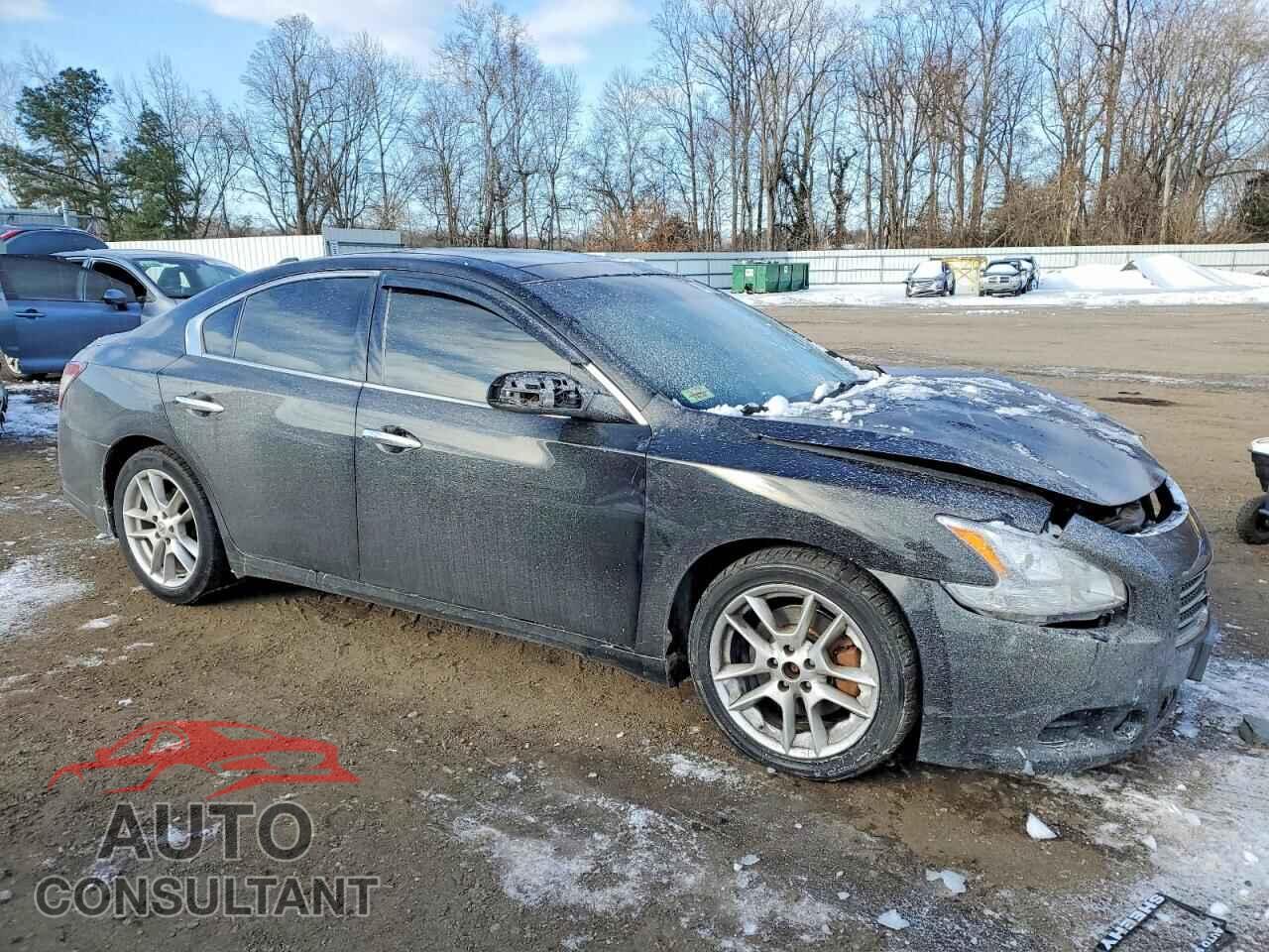 NISSAN MAXIMA 2009 - 1N4AA51E99C826470
