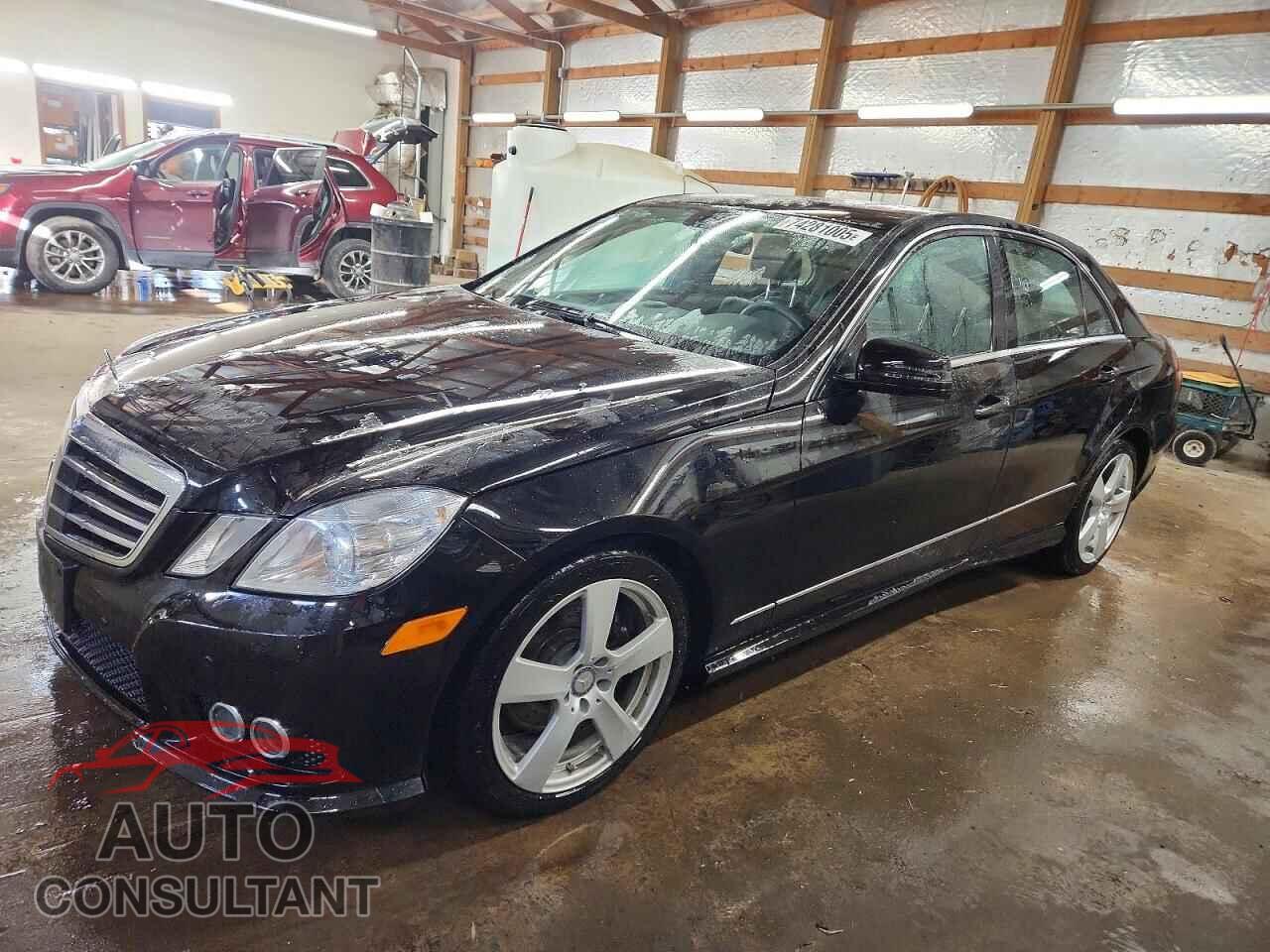 MERCEDES-BENZ E-CLASS 2010 - WDDHF8HBXAA161821