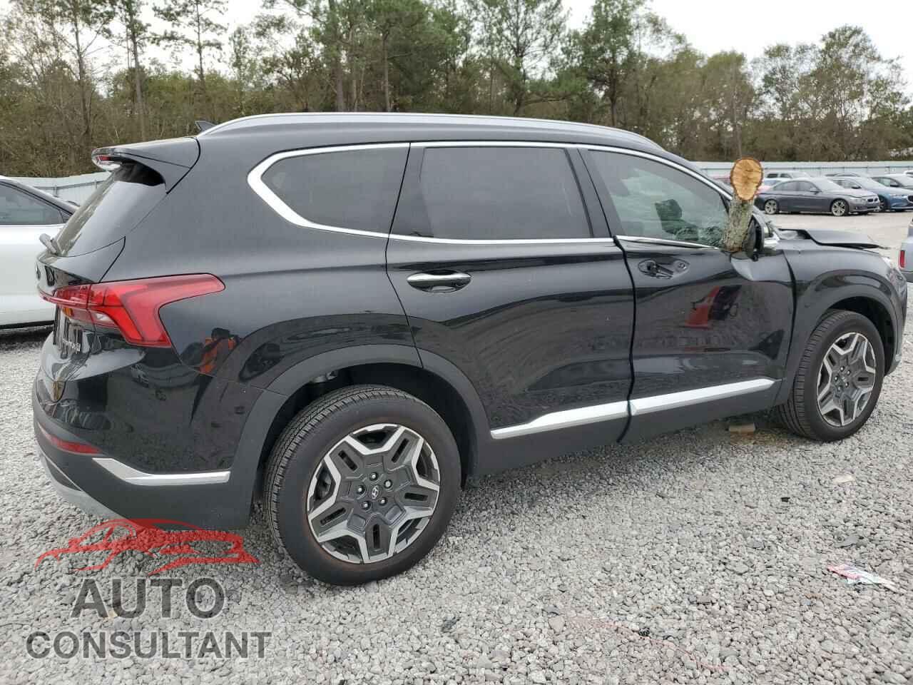 HYUNDAI SANTA FE 2023 - 5NMS3DA14PH018462
