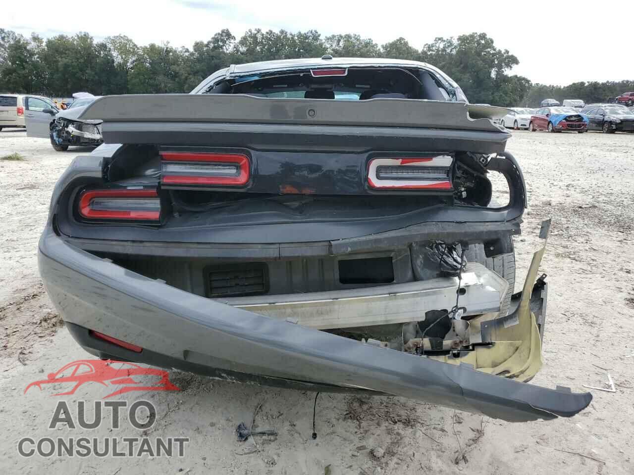 DODGE CHALLENGER 2019 - 2C3CDZAG3KH618336