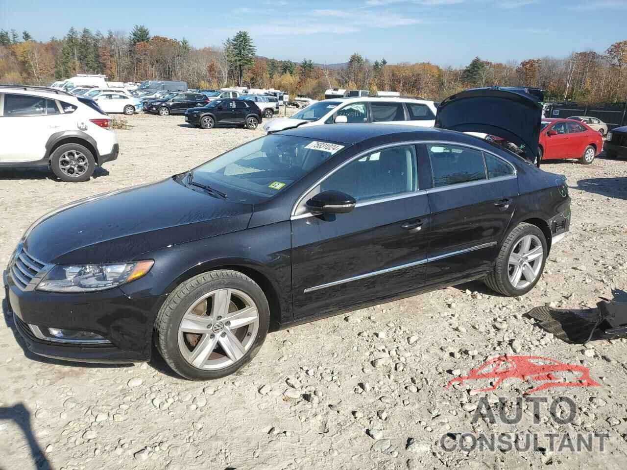 VOLKSWAGEN CC 2016 - WVWBP7AN6GE517548