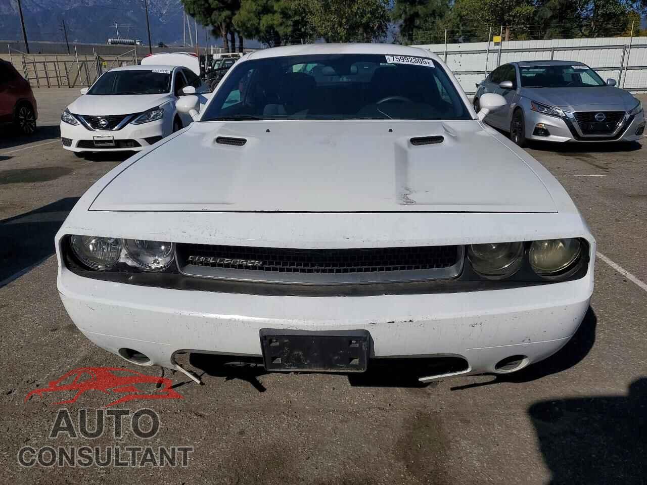 DODGE CHALLENGER 2013 - 2C3CDYAG8DH607958