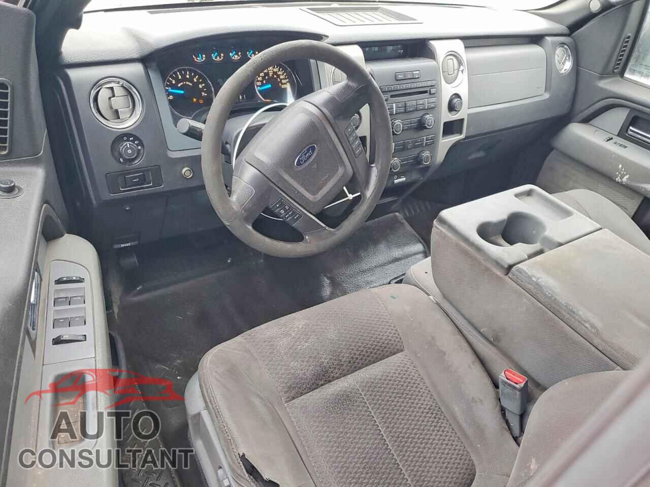 FORD F150 2014 - 1FTFX1EF0EFA51589