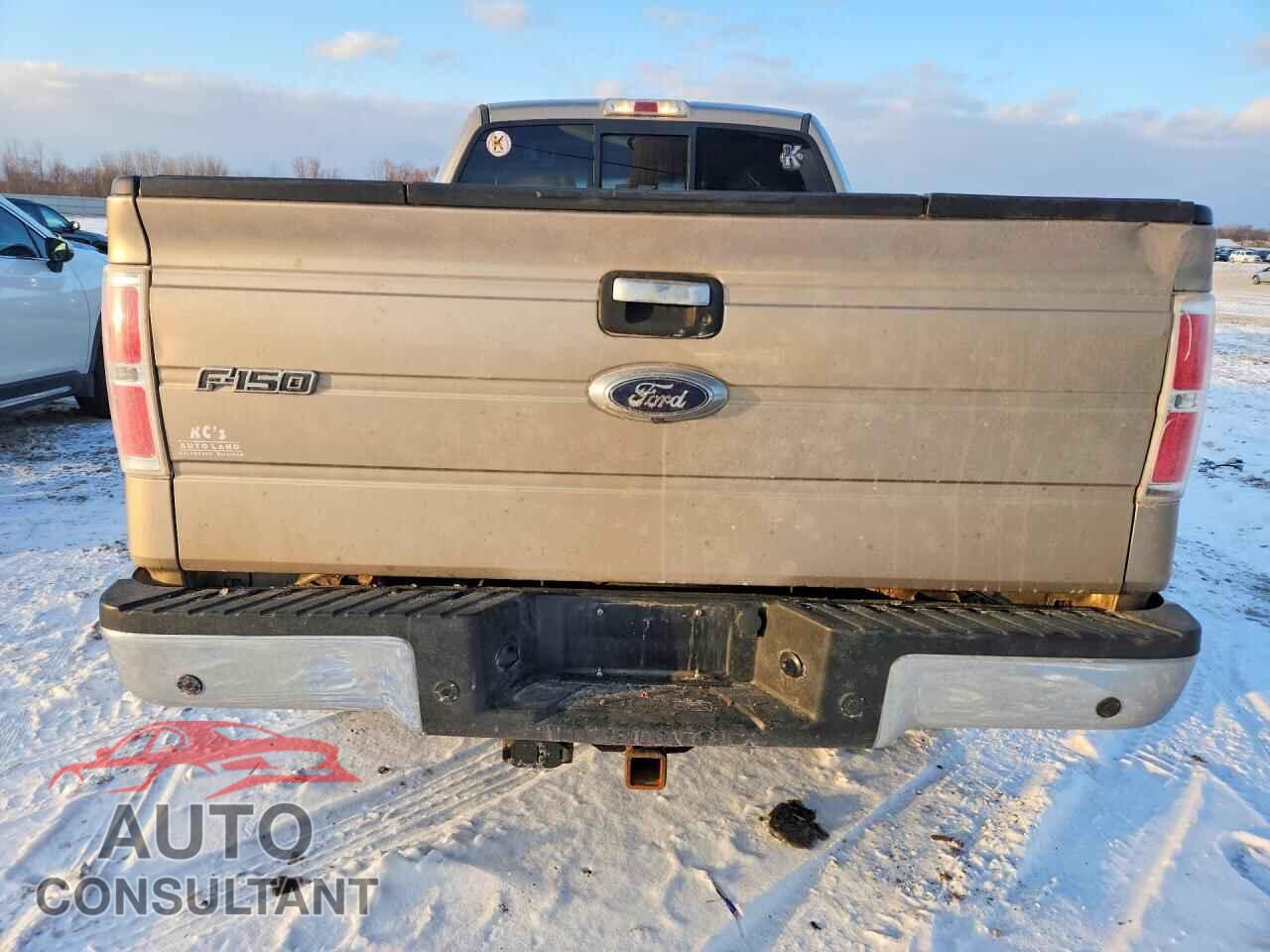 FORD F150 2014 - 1FTFX1EFXEFB08994