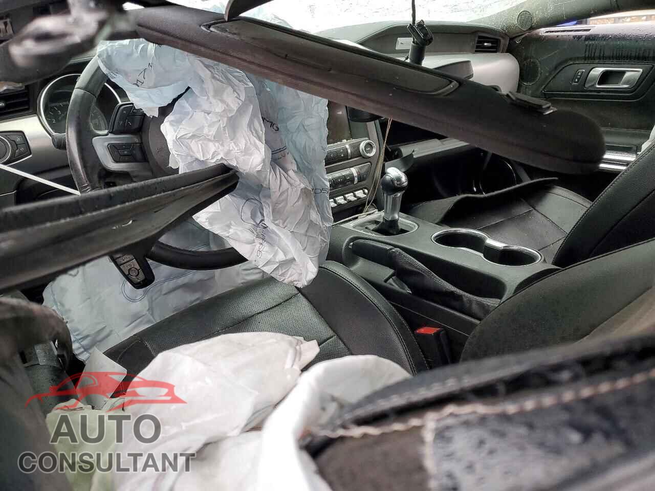FORD ALL Models 2019 - 1FATP8UH6K5170995