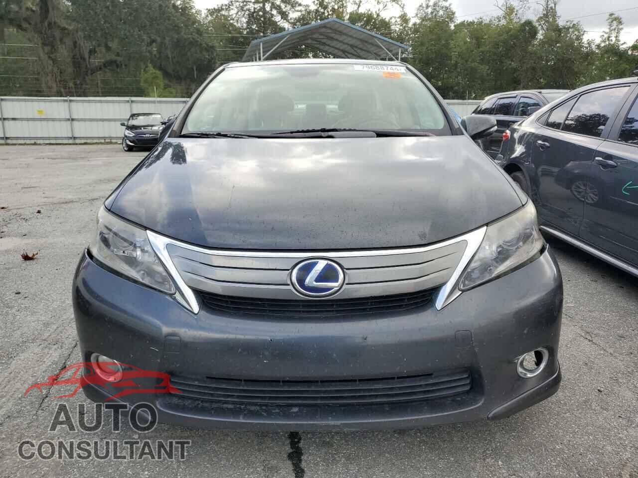 LEXUS HS 2010 - JTHBB1BA2A2013125