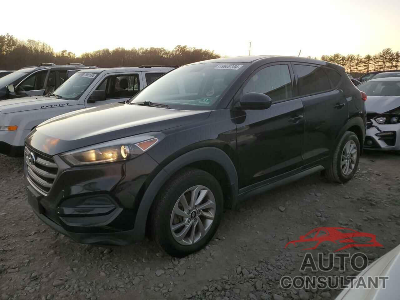 HYUNDAI TUCSON 2016 - KM8J23A48GU237576