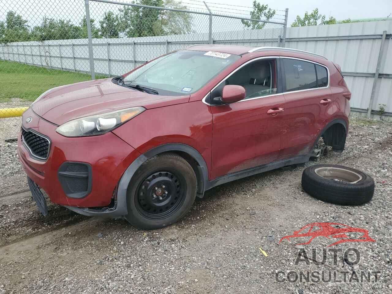 KIA SPORTAGE 2017 - KNDPM3AC8H7163575