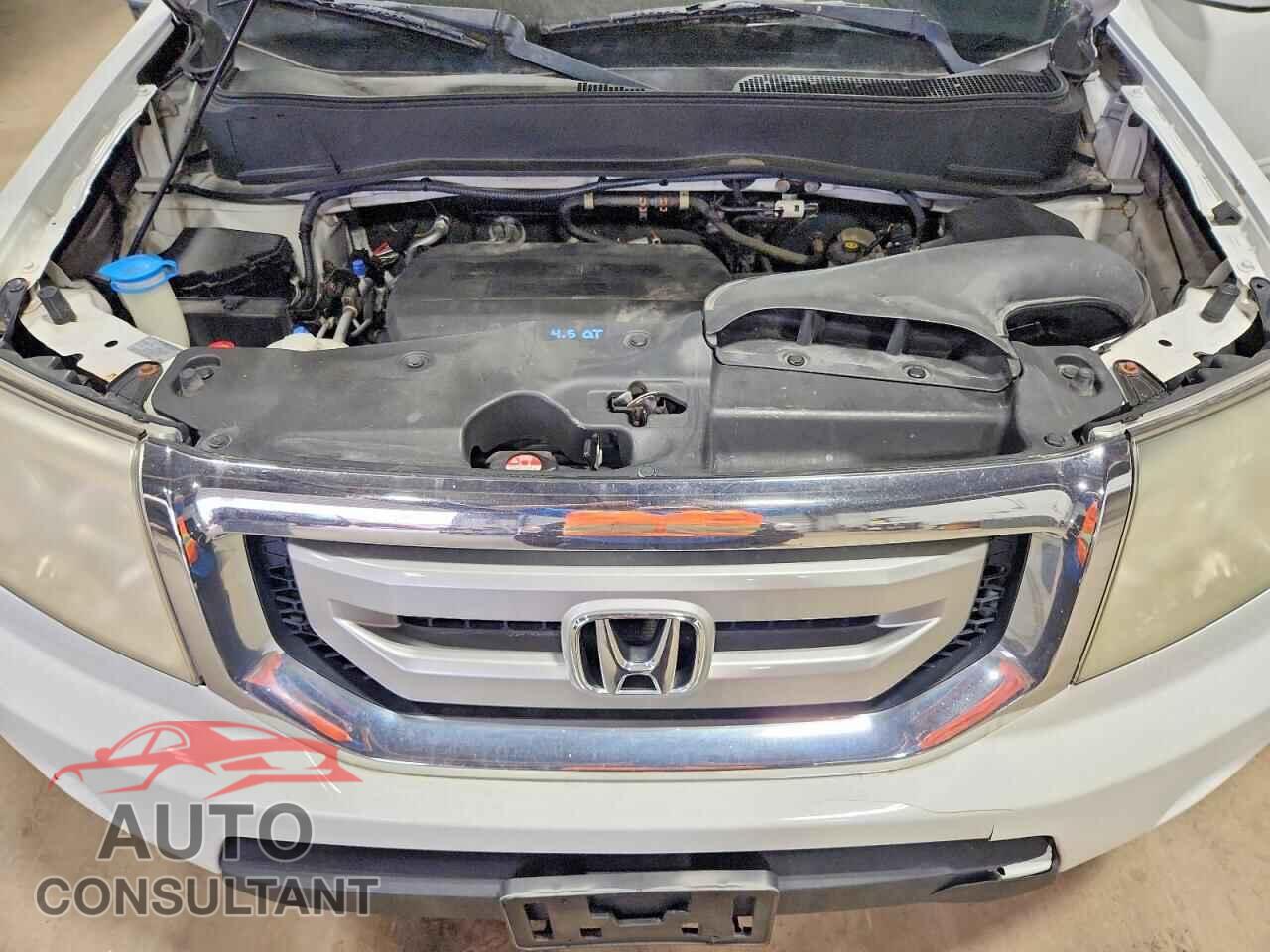 HONDA PILOT 2011 - 5FNYF4H56BB049961