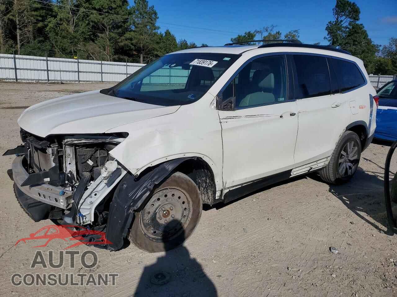 HONDA PILOT 2019 - 5FNYF6H56KB064214