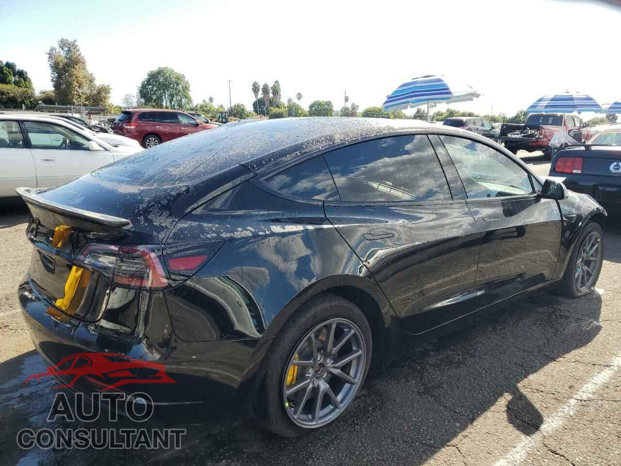 TESLA MODEL 3 2019 - 5YJ3E1EA0KF431948