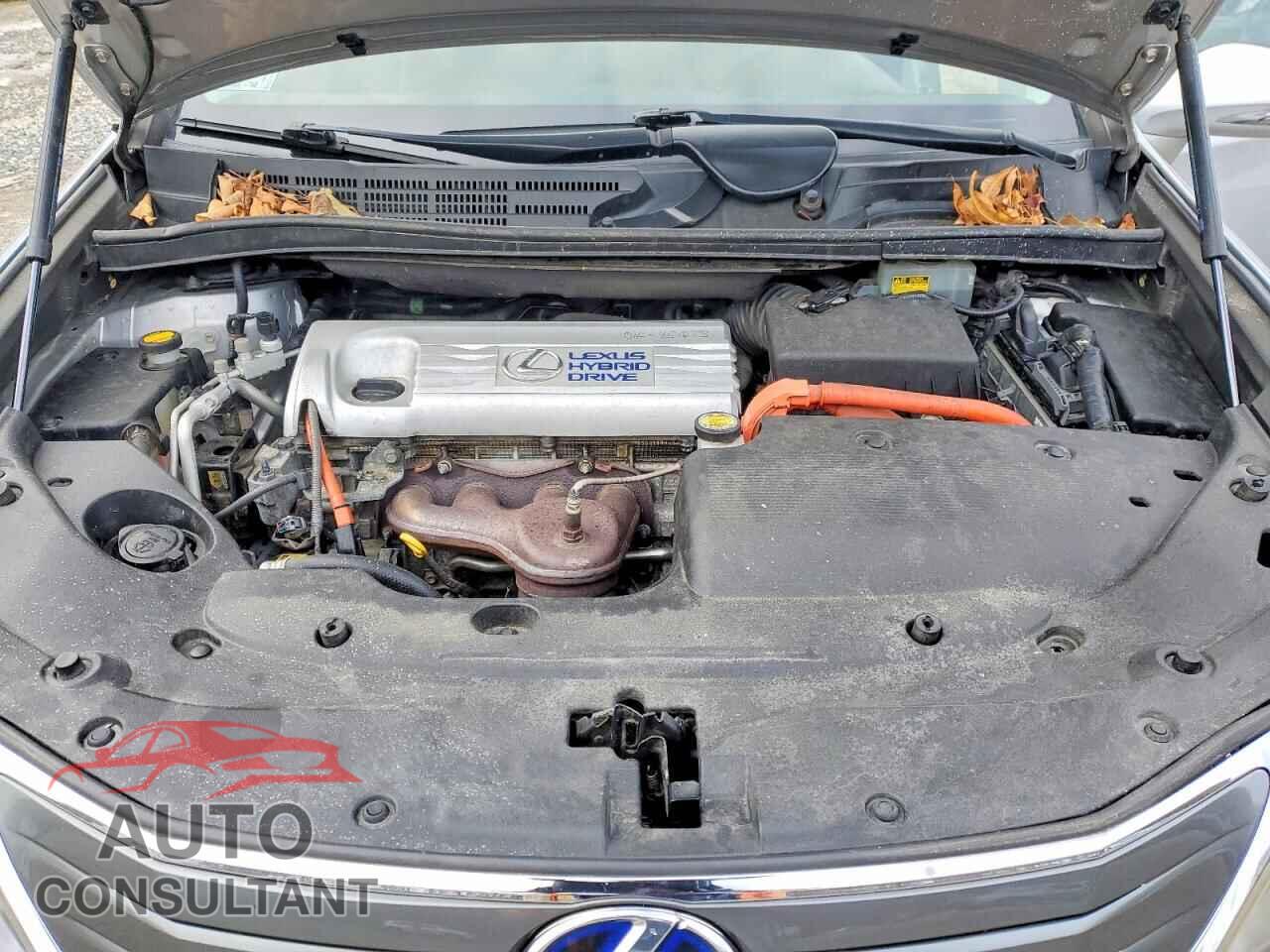 LEXUS HS 2011 - JTHBB1BA8B2043134
