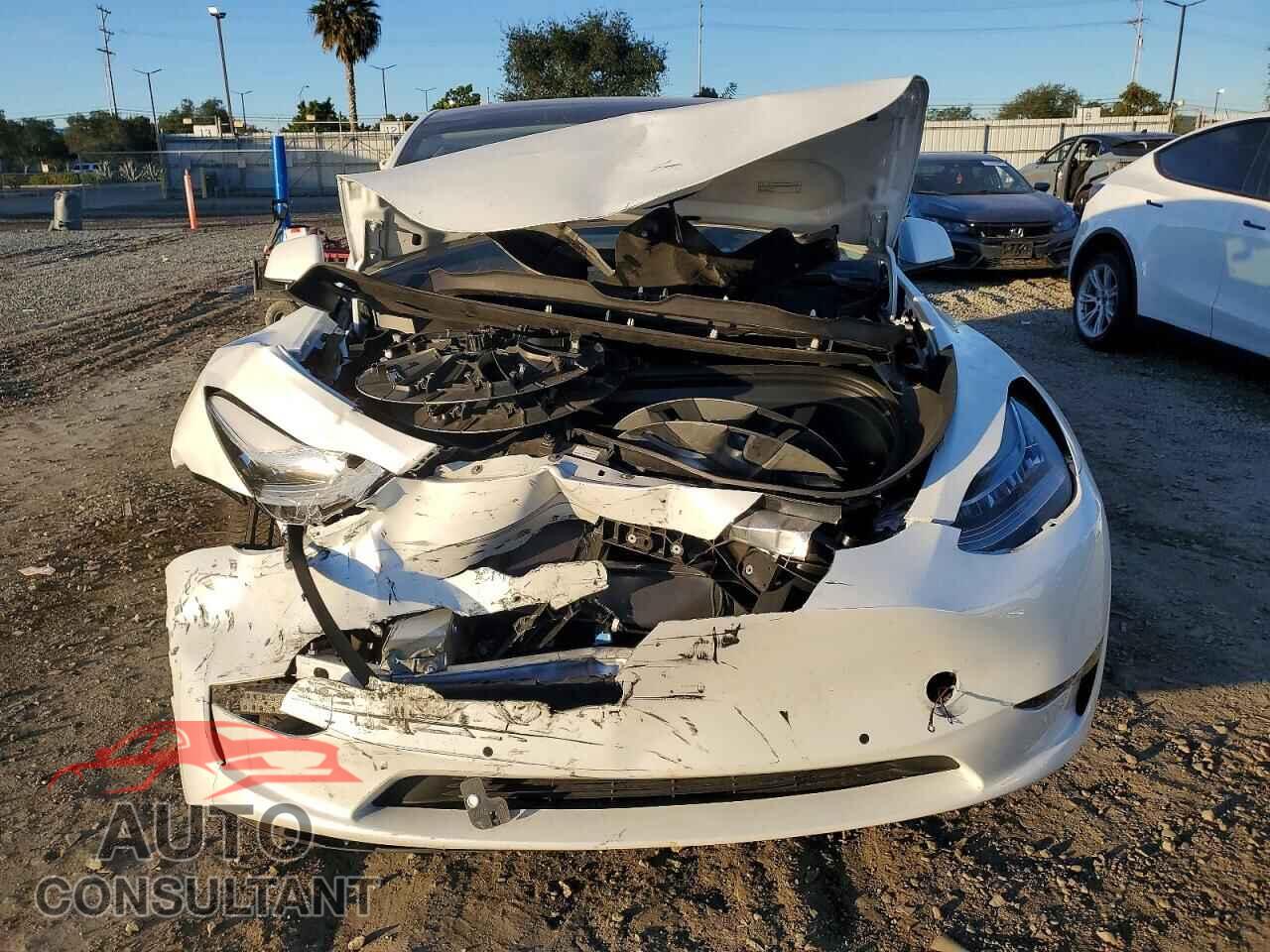 TESLA MODEL Y 2022 - 7SAYGDEE2NF450271