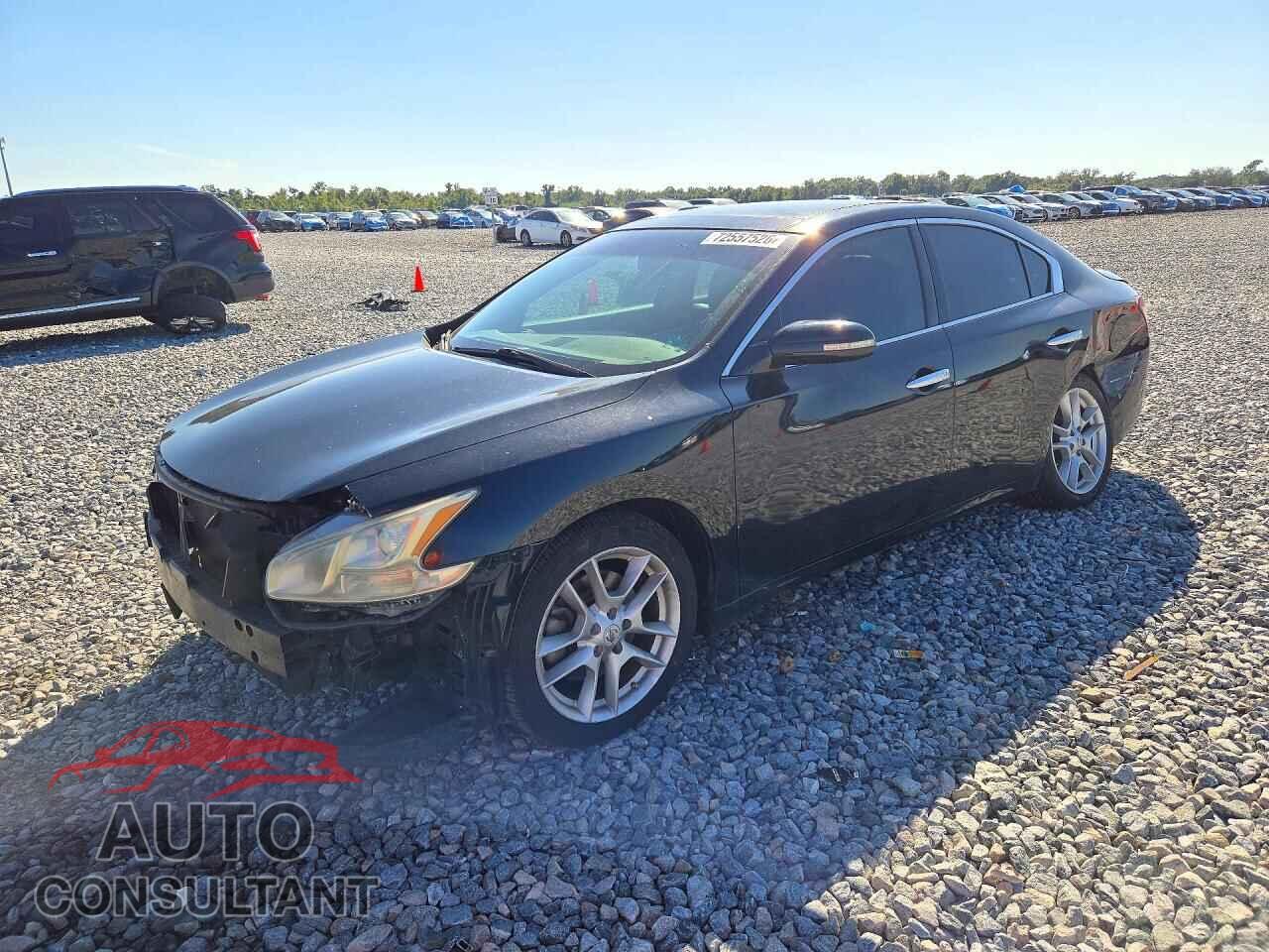 NISSAN MAXIMA 2009 - 1N4AA51E39C856399