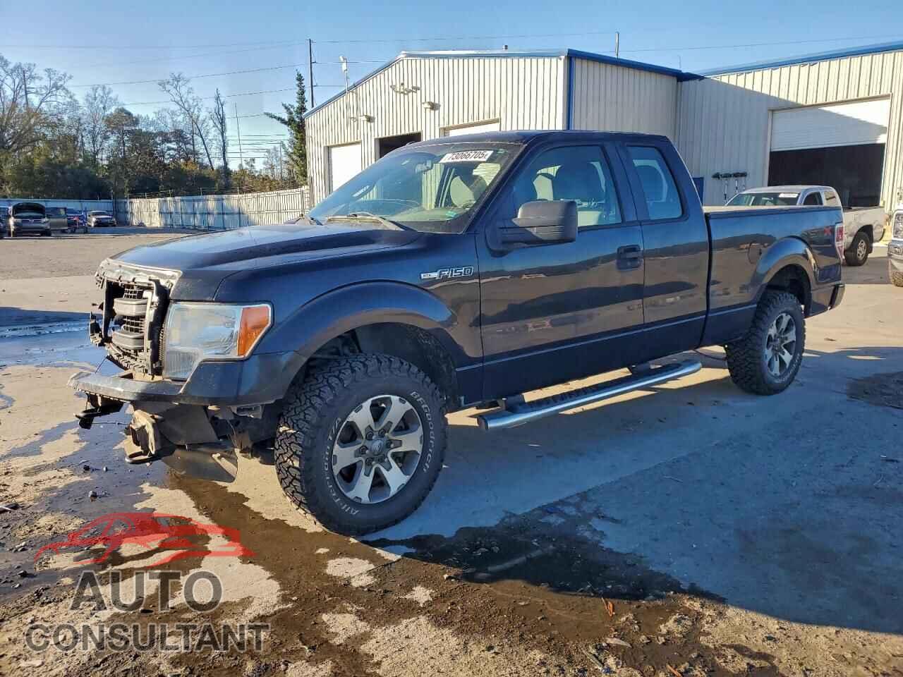 FORD F-150 2013 - 1FTFX1EF3DFD62027